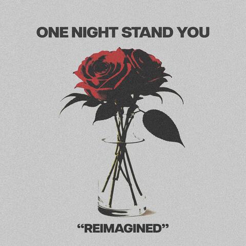 one night stand you (reimagined) album art