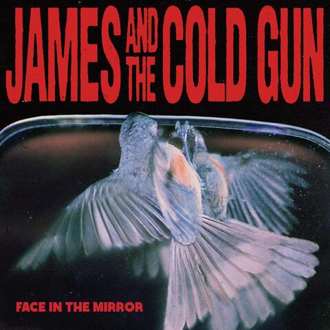 Face in the Mirror album art