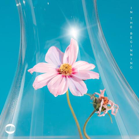 In The Beginning album art