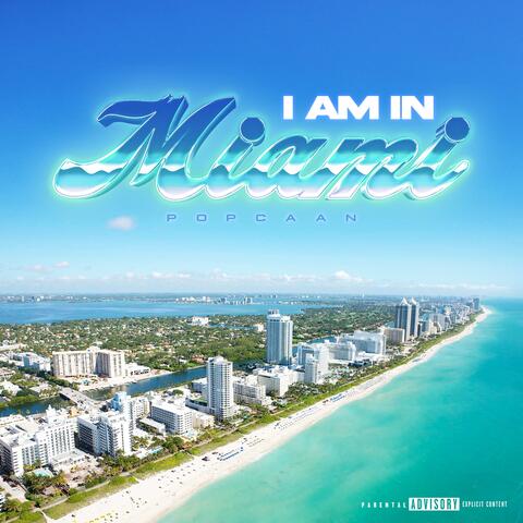 Miami album art