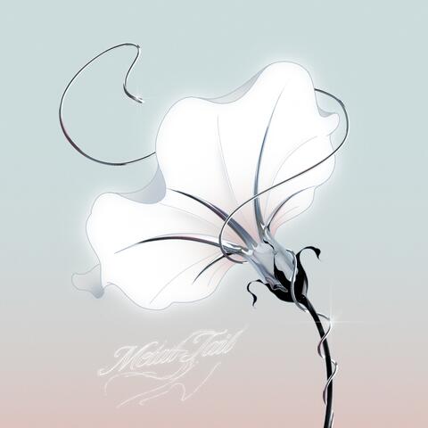 METAL TAIL album art