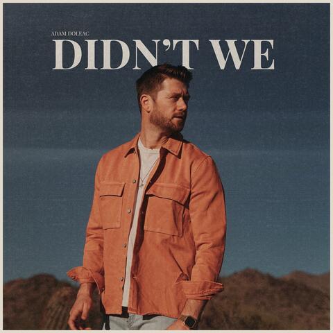 Didn't We album art