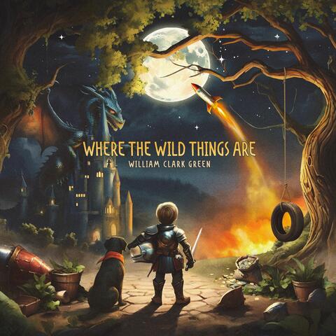 Where The Wild Things Are album art