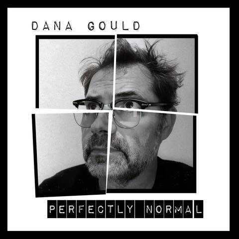 Perfectly Normal album art