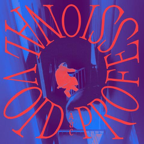 Professional Void album art