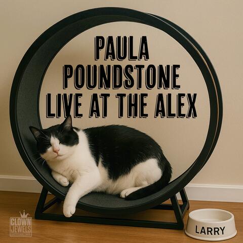 Live at The Alex album art