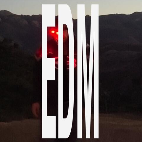 NEVER FADE album art