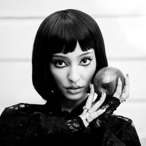 DESERT ROSE album art