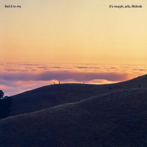 Feel it in My album art