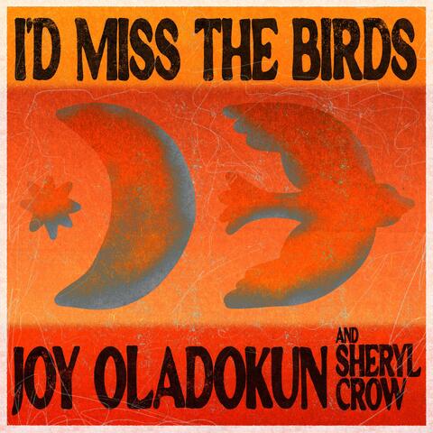 I'd Miss the Birds (feat. Sheryl Crow) album art
