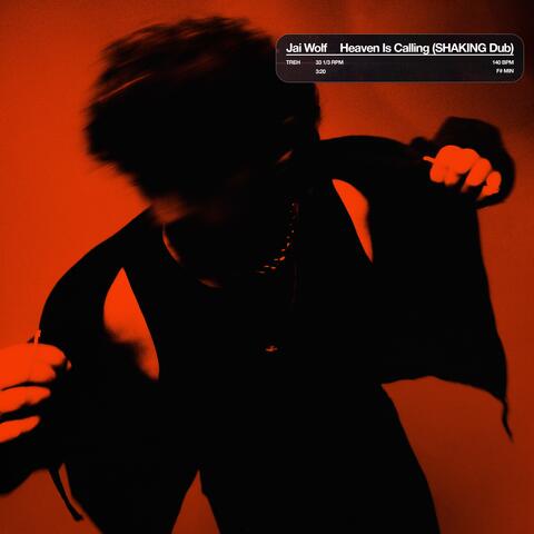 Heaven Is Calling (SHAKING Dub) album art