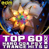 Image of Top 60 Hard Goa Psytrance Hits 2013