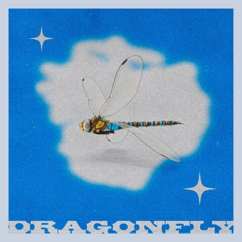 Dragonfly album art