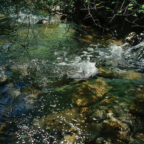 Serene Relaxation: Water-Inspired Binaural Sound Therapy album art
