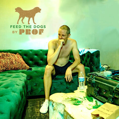 Feed the Dogs album art