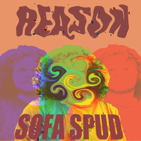 Reason album art