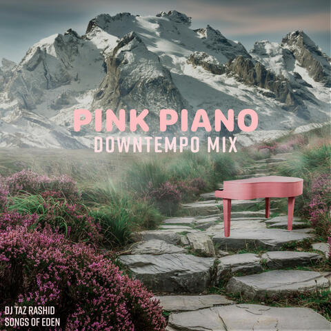 Pink Piano album art
