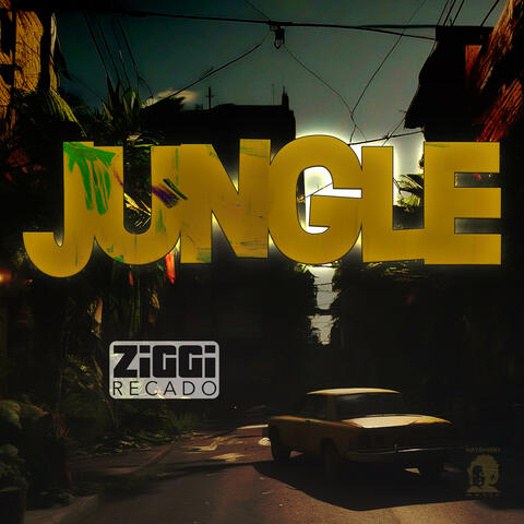 Jungle album art