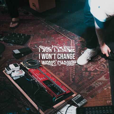 I WONT CHANGE album art