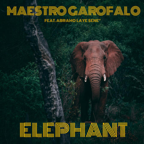 Elephant album art