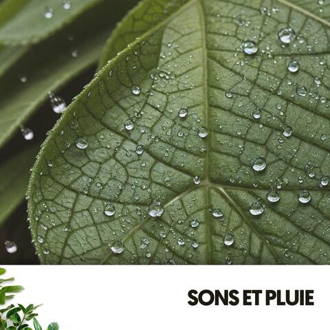 Sons et Pluie : Mélodies du Ciel sur Terre album art