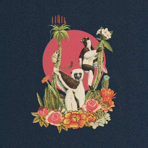 Ring Tail album art