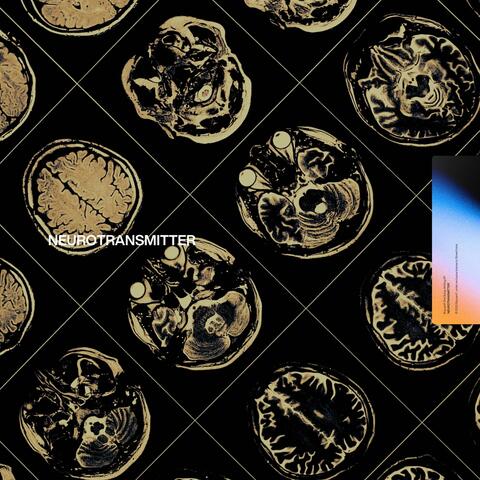 NEUROTRANSMITTER album art