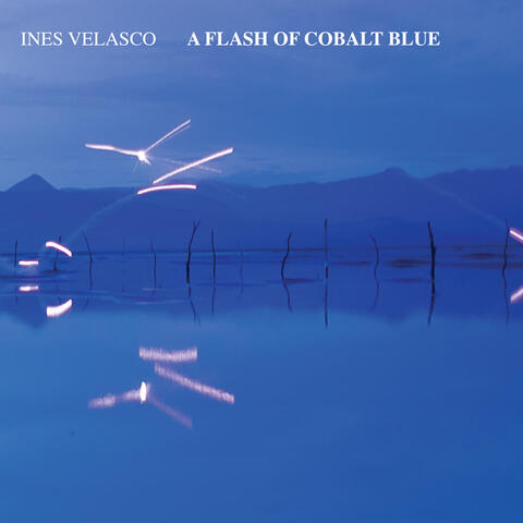 A Flash of Cobalt Blue album art
