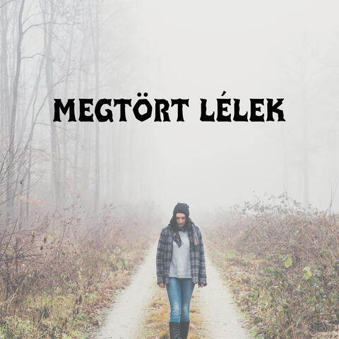 Megtört Lélek album art