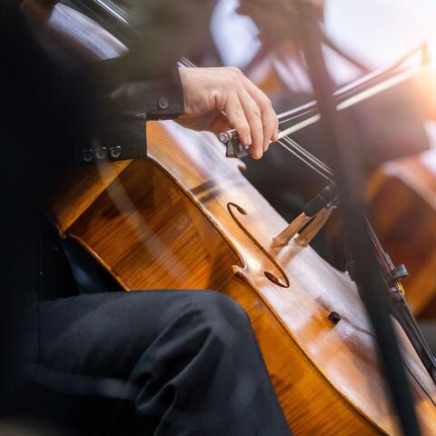 Symphony of Silence: Meditation Orchestra album art