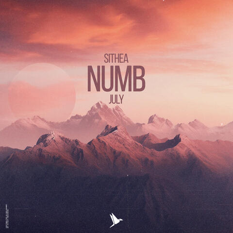 Numb album art