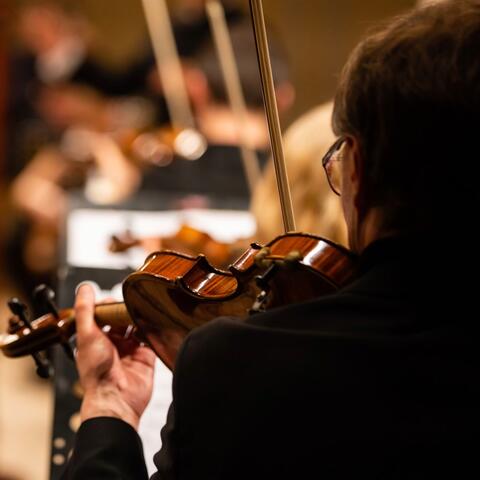 Tranquil Orchestra Symphony: Peaceful Musical Harmony album art