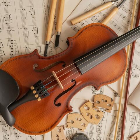 Soothing Symphony: Calm Orchestra Sounds album art