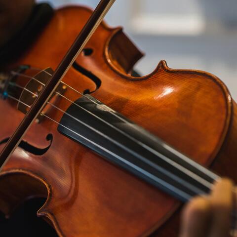 Peaceful Pups: Orchestra Serenades for Restful Dogs album art