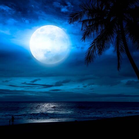 Night Serenity: Soft Music for Calming Evenings album art
