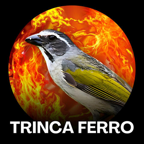 Trinca Ferro Hora de Esquentar album art