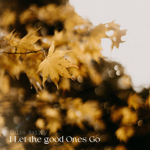 I Let The Good Ones Go album art