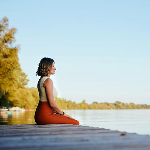 Pure Music for Calm Meditation Moments album art