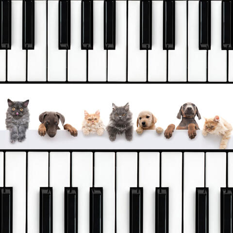 Piano's Calming Oasis: Serenity for Furry Friends album art
