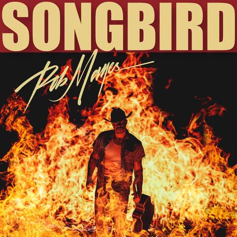 songbird album art