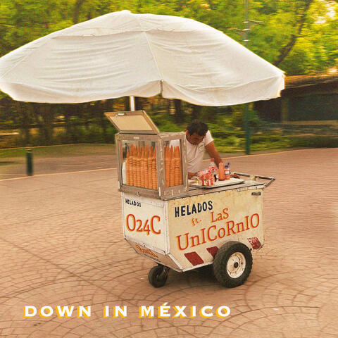 DOWN IN MEXICO album art