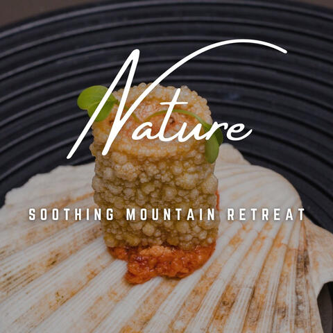 Mountain Spa Harmony: High Altitude Bliss album art