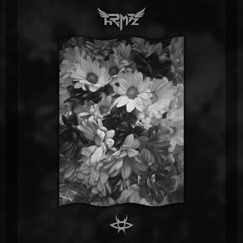 Destruction//Preservation album art