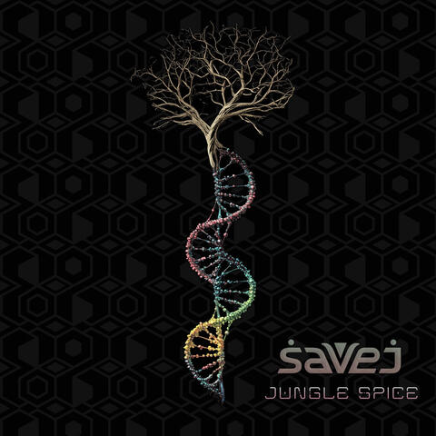 Jungle Spice album art