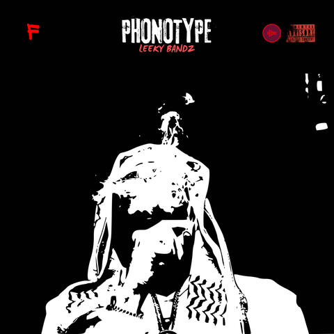 PHONOTYPE album art
