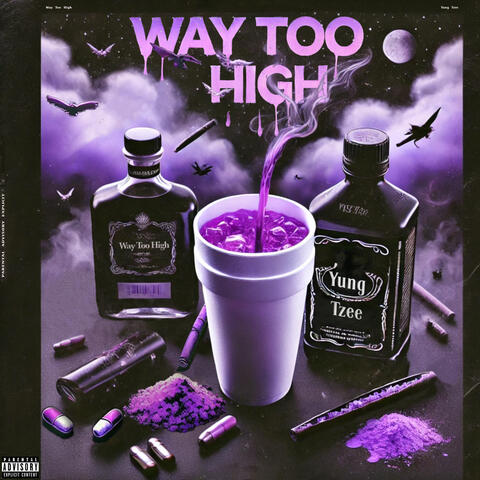 Way Too High album art