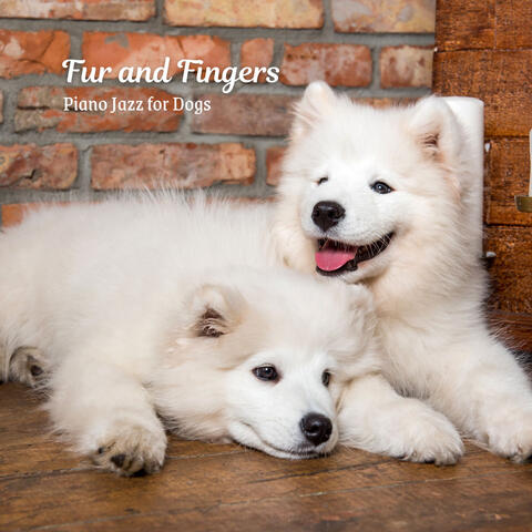 Fur and Fingers: Piano Jazz for Dogs album art