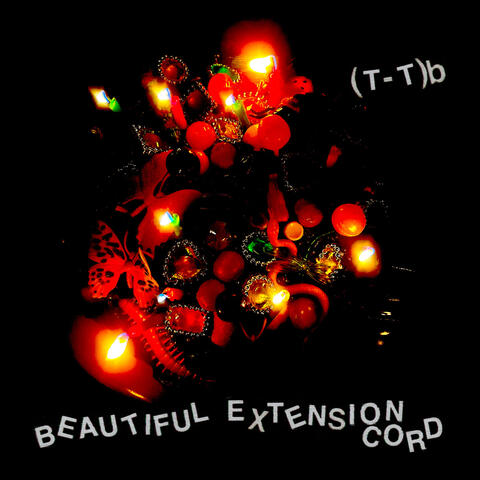 Beautiful Extension Cord album art