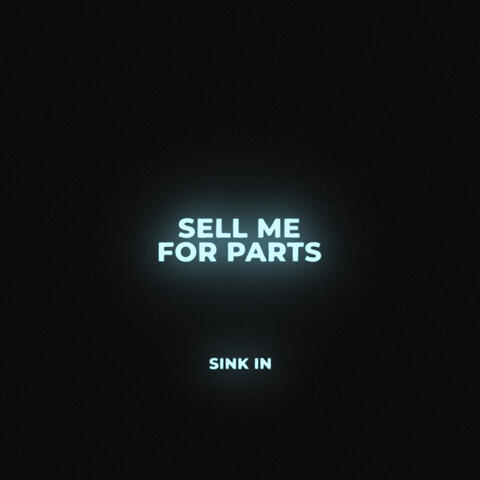 Sell Me For Parts album art