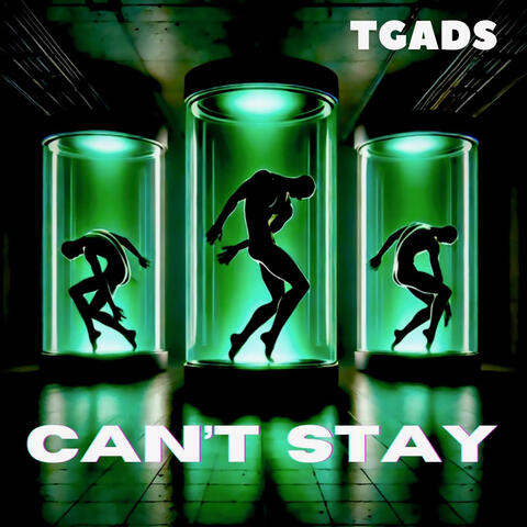 Can't Stay album art